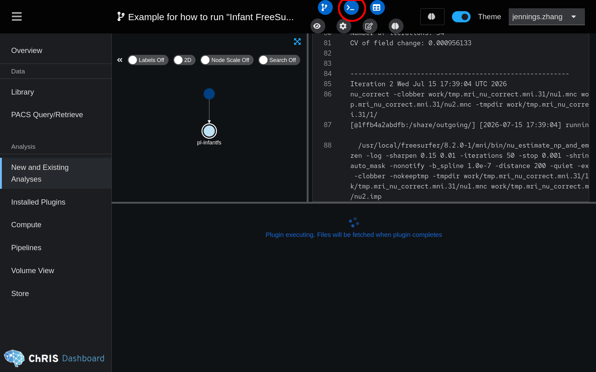 Screenshot of terminal output pane